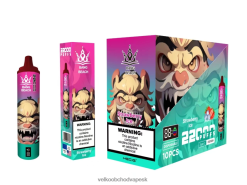 Bang Beach Inteligentná obrazovka s 22 000 ťahmi HJ428020 - Vape Jednorazove jahodový ľad