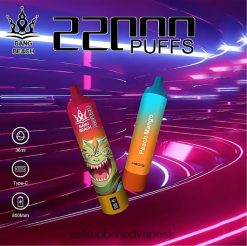 Bang Beach Inteligentná obrazovka s 22 000 ťahmi HJ428024 - Vape Jednorazove broskyňa mango