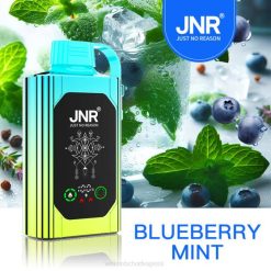 E Cigareta Jednorazova RHNN618 | JNR SHISHA BOX čučoriedková mäta