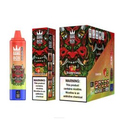 E Cigareta SK RHNN126 | Bang Box jahodové kiwi 20 000