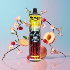 JNR Calavera 11000 Puffs Disposable Vape Broskyňa Mango, 21ml, 850mAh, 1.0ohm