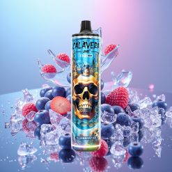 JNR Calavera 11000 Puffs Disposable Vape Čučoriedkový ľad, 850mAh, 21ml, 1.0ohm