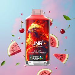 JNR Falcon X 18000 Puffs Čerešňový Melónový Chlad 24ml 750mAh Dual Mesh Coil Type-C