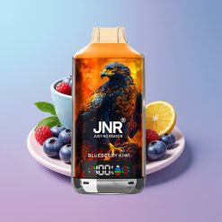 JNR Falcon X 18000 Puffs JNR Falcon X Čučoriedka Kivi 24ml Dual Mesh Coil