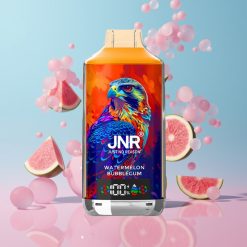 JNR Falcon X 18000 Puffs Vodový žuvačkový cukor 24ml 750mAh Dual Mesh Coil Typ-C