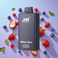 JNR Mega Box 25000 Puffs Disposable Vape Čučoriedka Kyslá Malina Jahoda, 30ml, 850mAh