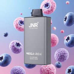 JNR Mega Box 25000 Puffs Disposable Vape Čučoriedková žuvačka, 30ml, 850mAh, Dual Mesh Coil