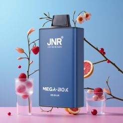JNR Mega Box 25000 Puffs Disposable Vape Pán Modrý, 30ml, 850mAh, Dual Mesh