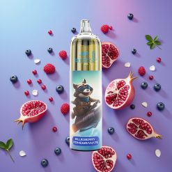 JNR Rocket-X 12400 Puffs Disposable Vape Čučoriedka Granátové jablko, 25ml, 850mAh, RGB