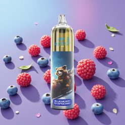 JNR Rocket-X 12400 Puffs Disposable Vape Čučoriedka Malina, 25ml, 850mAh, Typ-C