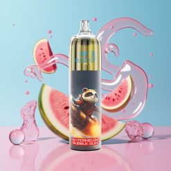 JNR Rocket-X 12400 Puffs Disposable Vape Melónová žuvačka, 25ml, 850mAh, Typ-C