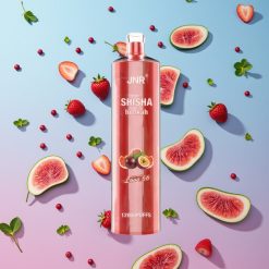 JNR Shisha Hookah 12000 Puffs Láskavosť 66 24ml 750mAh