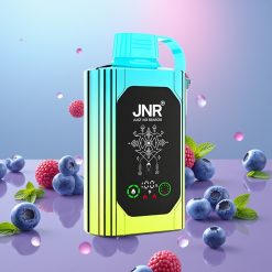 JNR Shisha Hookah Box Čučoriedková Mäta, 20500 Puffs, 25ml, Dual Mesh Coil