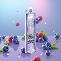 JNR Shisha Hookah Čučoriedková Mäta 12000 Puffs 24ml 750mAh