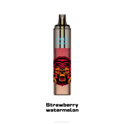 LAVIE OCO karneval 10000 šlukov V8H0358 | Veľkoobchod Vape SK jahodový melón