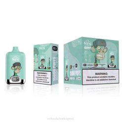 Vape Jednorázové Bez Nikotinu RHNN133 | Bang Box jahodové kiwi 15 000