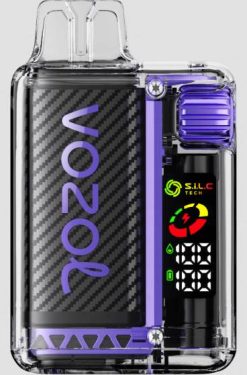 Vape Velkoobchod RHNN12 | VOZOL VISTA hroznový ľad 16 000/20 000 5 %
